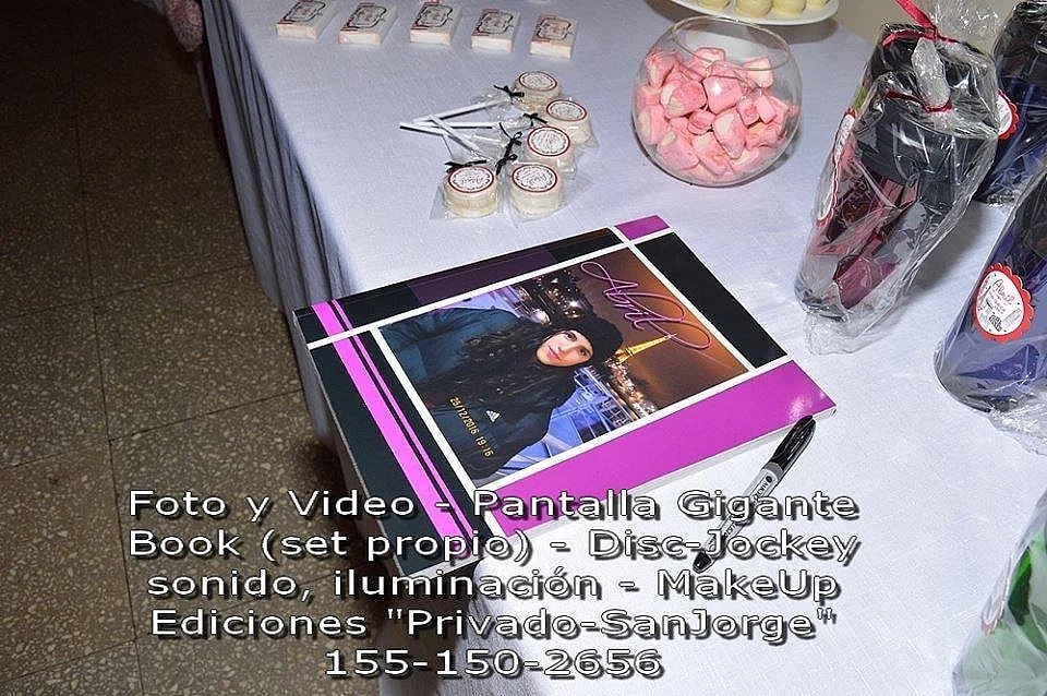 Libro de firmas fotográfico para fiestas de 15 años en Quilmes - Ejemplo 1